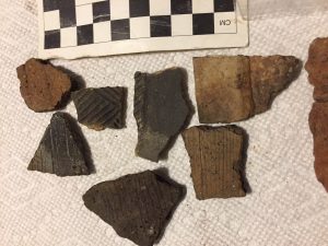 Lake Vernon potsherds