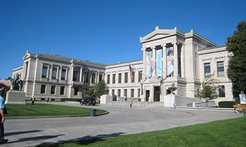 Boston MFA