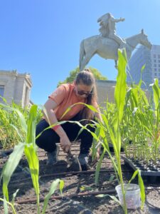 Elizabeth James-Perry Raven Reshapes Boston