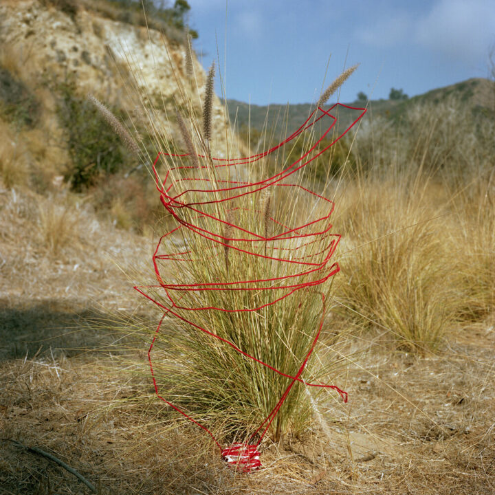 04The+Sea+Being+Born+-+Moomat+Peyook