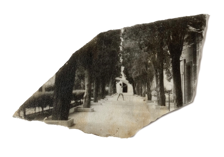 Fragmented black-and-white photograph showing a tree-lined walkway with a small figure in the distance, presented in Edmonia Lewis: Said in Stone.